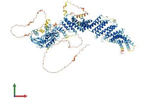 Protein Structure (PS) image for Chromosome 10 Open Reading Frame 137 (C10orf137) (AA 1-1238) protein (His tag) (ABIN7553775)