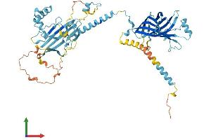 Protein Structure (PS) image for Meckel Syndrome, Type 1 (MKS1) (AA 1-561) protein (His tag) (ABIN7563847)