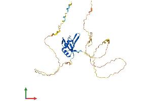 AlphaFold protein structure predicition of Human Recombinant RBFOX3 Protein, UniprotID A6NFN3 (NeuN Protein (AA 1-312) (His tag))