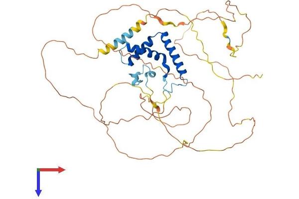 TCF7L2 Protein (AA 1-459) (His tag)