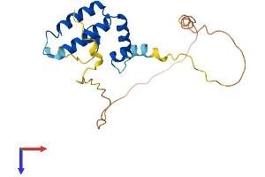 DNAJC12 Protein (AA 1-198) (His tag)