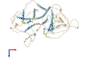 AlphaFold protein structure predicition of Mouse Recombinant Cspp1 Protein, UniprotID B2RX88