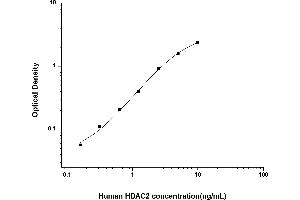 HDAC2 ELISA Kit