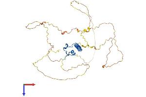 DMRT1 Protein (AA 1-373) (His tag)