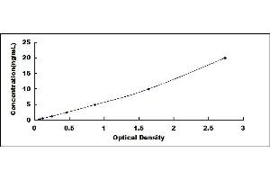 Typical standard curve (TUBB ELISA Kit)