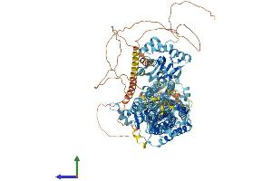 Protein Structure (PS) image for ATPase, Ca++ Transporting, Plasma Membrane 4 (ATP2B4) (AA 1-1205) protein (His tag) (ABIN7564140)