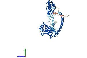 AlphaFold protein structure predicition of Human Recombinant TRAF3 Protein, UniprotID Q13114 (TRAF3 Protein (AA 1-568) (His tag))