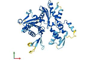 AlphaFold protein structure predicition of Human Recombinant ACTL8 Protein, UniprotID Q9H568