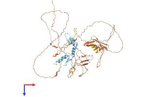 Sp2 Protein (AA 1-613) (His tag)