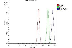 Flow Cytometry analysis of Caco-2 cells using anti-DNMT3B antibody (ABIN7600940).