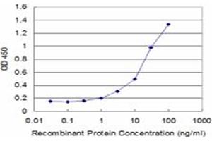 Detection limit for recombinant GST tagged LAIR1 is approximately 1ng/ml as a capture antibody. (LAIR1 Antikörper  (AA 188-287))