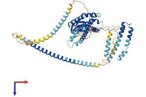 SPATA18 Protein (AA 1-538) (His tag)