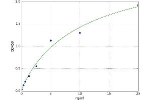Large Proline-Rich Protein BAT3 (BAT3) ELISA Kit