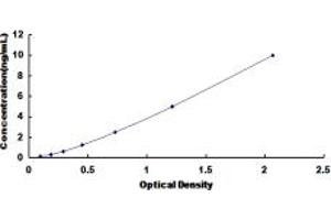 Typical standard curve (MAF ELISA Kit)