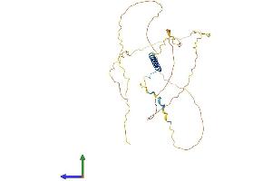 Protein Structure (PS) image for Junctional Sarcoplasmic Reticulum Protein 1 (JSRP1) (AA 1-332) protein (His tag) (ABIN7557041)