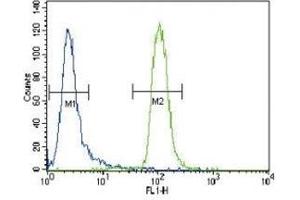 MUSK antibody flow cytometric analysis of CEM cells (right histogram) compared to a negative control cell (left histogram). (MUSK Antikörper  (AA 829-859))