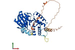 Protein Structure (PS) image for Paroxysmal Nonkinesigenic Dyskinesia (PNKD) (AA 1-385) protein (His tag) (ABIN7550767)