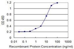 ELISA image for anti-Retinoic Acid Receptor Responder (Tazarotene Induced) 1 (RARRES1) (AA 205-295) antibody (ABIN961140) (RARRES1 Antikörper  (AA 205-295))