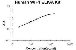 Human WIF1 PicoKine ELISA Kit standard curve