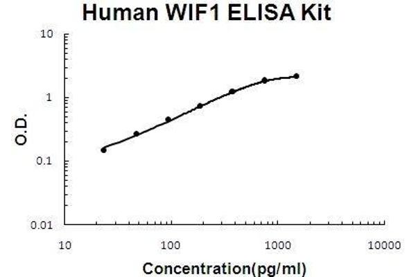 WIF1 ELISA Kit
