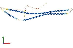 Protein Structure (PS) image for Keratin 19 (KRT19) (AA 1-403) protein (His tag) (ABIN7562934)