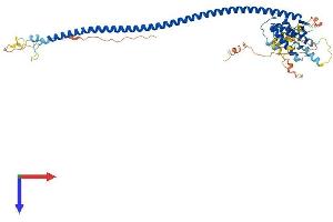 ATG14 Protein (AA 1-492) (His tag)
