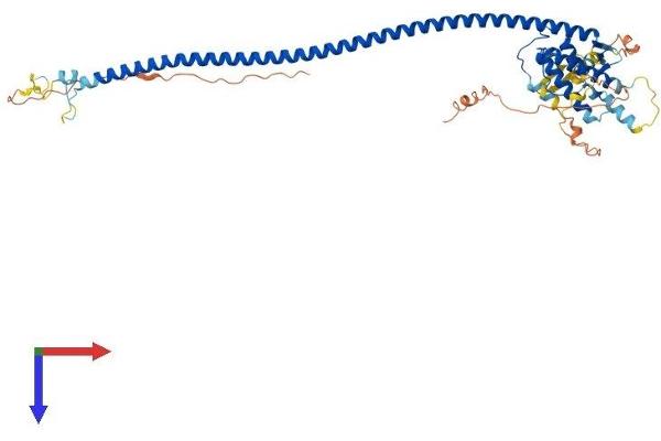 ATG14 Protein (AA 1-492) (His tag)