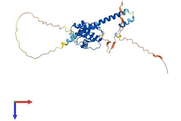 MAPRE2 Protein (AA 1-327) (His tag)