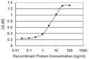 Detection limit for recombinant GST tagged ASAH1 is 0. (ASAH1 Antikörper  (AA 25-124))