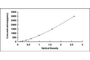 Typical standard curve (FGF1 ELISA Kit)