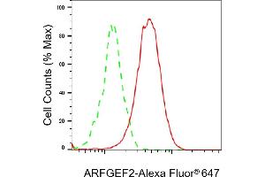 Flow cytometric analysis of ARFGEF2 expression in HepG2 cells using ARFGEF2 antibody (ABIN7797534), 1:2,000). (Rekombinanter ARFGEF2 Antikörper)