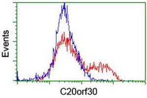 Flow Cytometry (FACS) image for anti-Chromosome 20 Open Reading Frame 30 (C20orf30) antibody (ABIN1498765) (C20orf30 Antikörper)