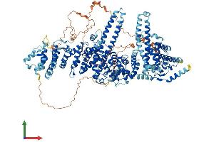 Protein Structure (PS) image for Ubiquitin Conjugation Factor E4 B (UBE4B) (AA 1-1173) protein (His tag) (ABIN7565056)