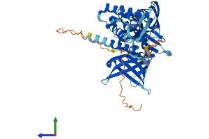 Protein Structure (PS) image for Sorting Nexin 31 (SNX31) (AA 1-440) protein (His tag) (ABIN7546074)