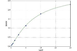Glycine Dehydrogenase (GLDC) ELISA Kit