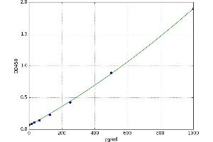 Neurofilament Triplet M Protein (NEFM) ELISA Kit