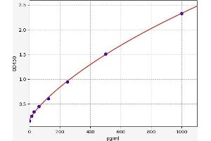 Galectin 2 ELISA Kit