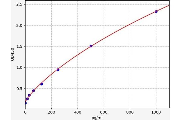 Galectin 2 ELISA Kit