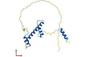 Protein Structure (PS) image for TAF12 RNA Polymerase II, TATA Box Binding Protein (TBP)-Associated Factor, 20kDa (TAF12) (AA 1-161) protein (His tag) (ABIN7559889)