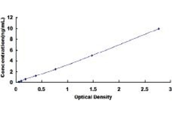 BCL2L2 ELISA Kit