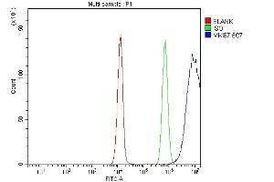 Flow Cytometry analysis of Jurkat cells using anti-Ki67 antibody (ABIN7601101).