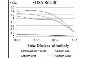 Black line: Control Antigen (100 ng), Purple line: Antigen(10 ng), Blue line: Antigen (50 ng), Red line: Antigen (100 ng), (PIK3R1 Antikörper  (AA 159-388))