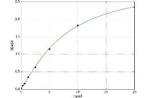 Mitogen-Activated Protein Kinase 3 (MAPK3) ELISA Kit