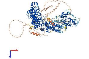 MGEA5 Protein (AA 1-916) (His tag)