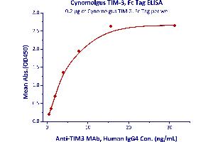 ELISA image for Hepatitis A Virus Cellular Receptor 2 (TIM 3) (AA 22-201) (Active) protein (Fc Tag) (ABIN5526613)