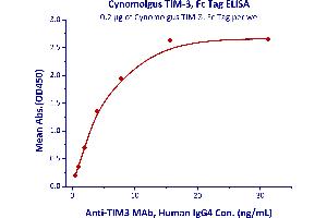 Immobilized Cynomolgus TIM-3, Fc Tag (ABIN5526613,ABIN5526614) at 2 μg/mL (100 μL/well) can bind A Mab, Human IgG4 with a linear range of 0. (TIM3 Protein (AA 22-201) (Fc Tag))