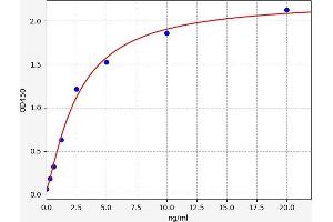 Angiotensin I Converting Enzyme 1 ELISA Kit