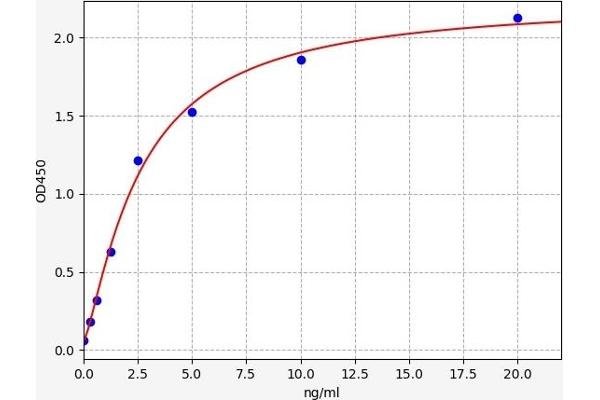 Angiotensin I Converting Enzyme 1 ELISA Kit