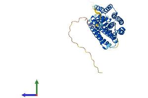 AlphaFold protein structure predicition of Human Recombinant EXOC3L2 Protein, UniprotID Q2M3D2