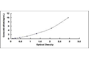 Ribosomal Protein S6 Kinase, 70kDa, Polypeptide 1 (RPS6KB1) ELISA Kit